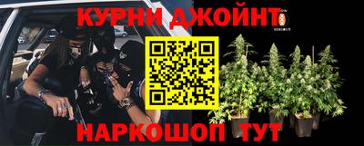 мяу мяу мука Абинск