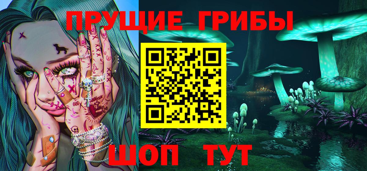 Псилоцибиновые грибы Psilocybine cubensis Новотроицк