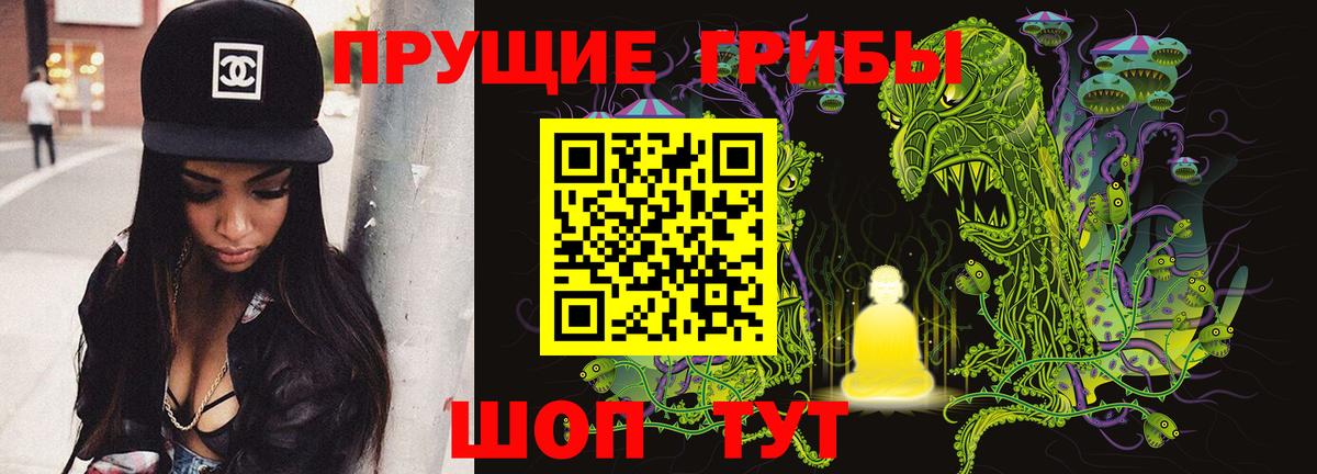 Новотроицк  Псилоцибиновые грибы мухоморы  Псилоцибиновые грибы мицелий  Вход с VPN 