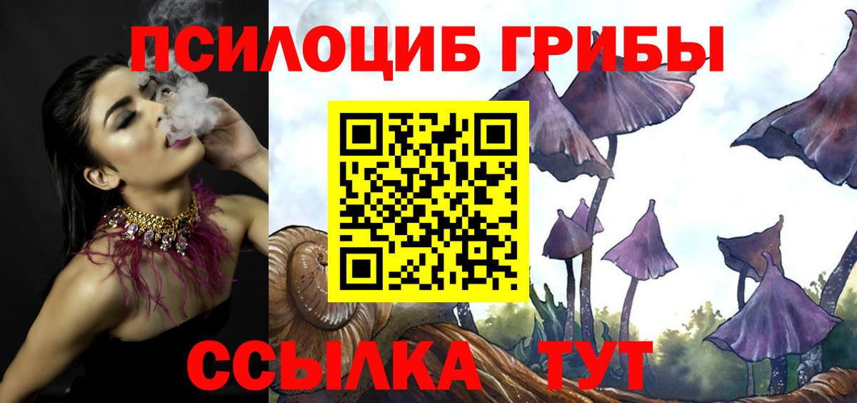 Галлюциногенные грибы Cubensis Новотроицк