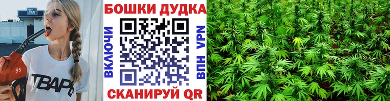 Марихуана ГИДРОПОН  где купить наркоту  Новотроицк 